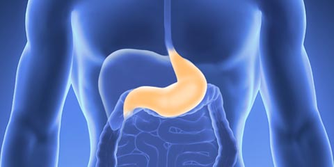 Гастроскопия в Германии. Проведение эндоскопии желудка