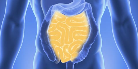 Рак ЖКТ — лечение в Германии канциромы желудочно-кишечного тракта